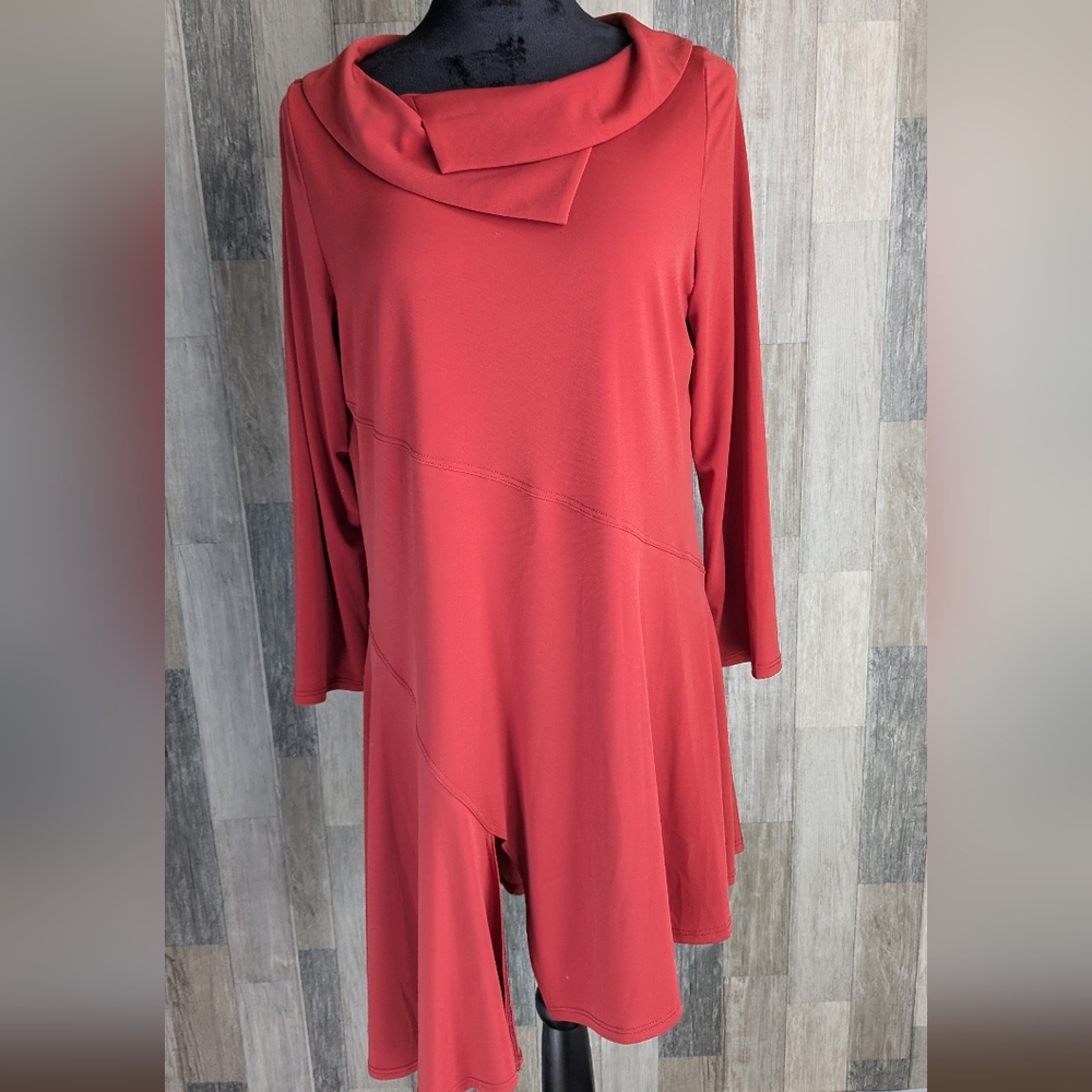IC Connie K Tunic Dress NWT